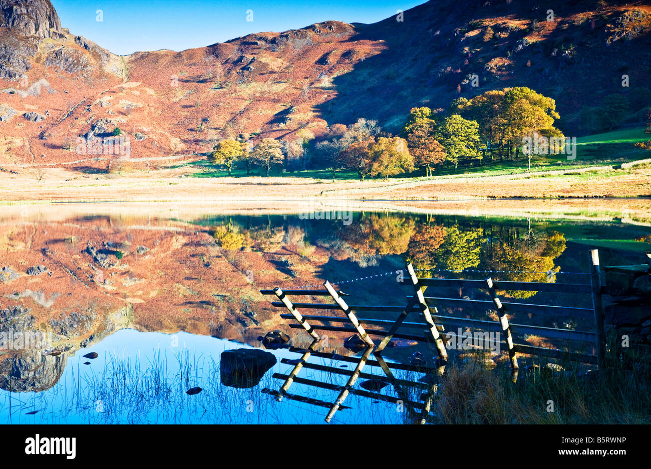 La mattina presto e il sole riflessioni in Blea Tarn su una soleggiata giornata autunnale, Parco Nazionale del Distretto dei Laghi, Cumbria, England, Regno Unito Foto Stock