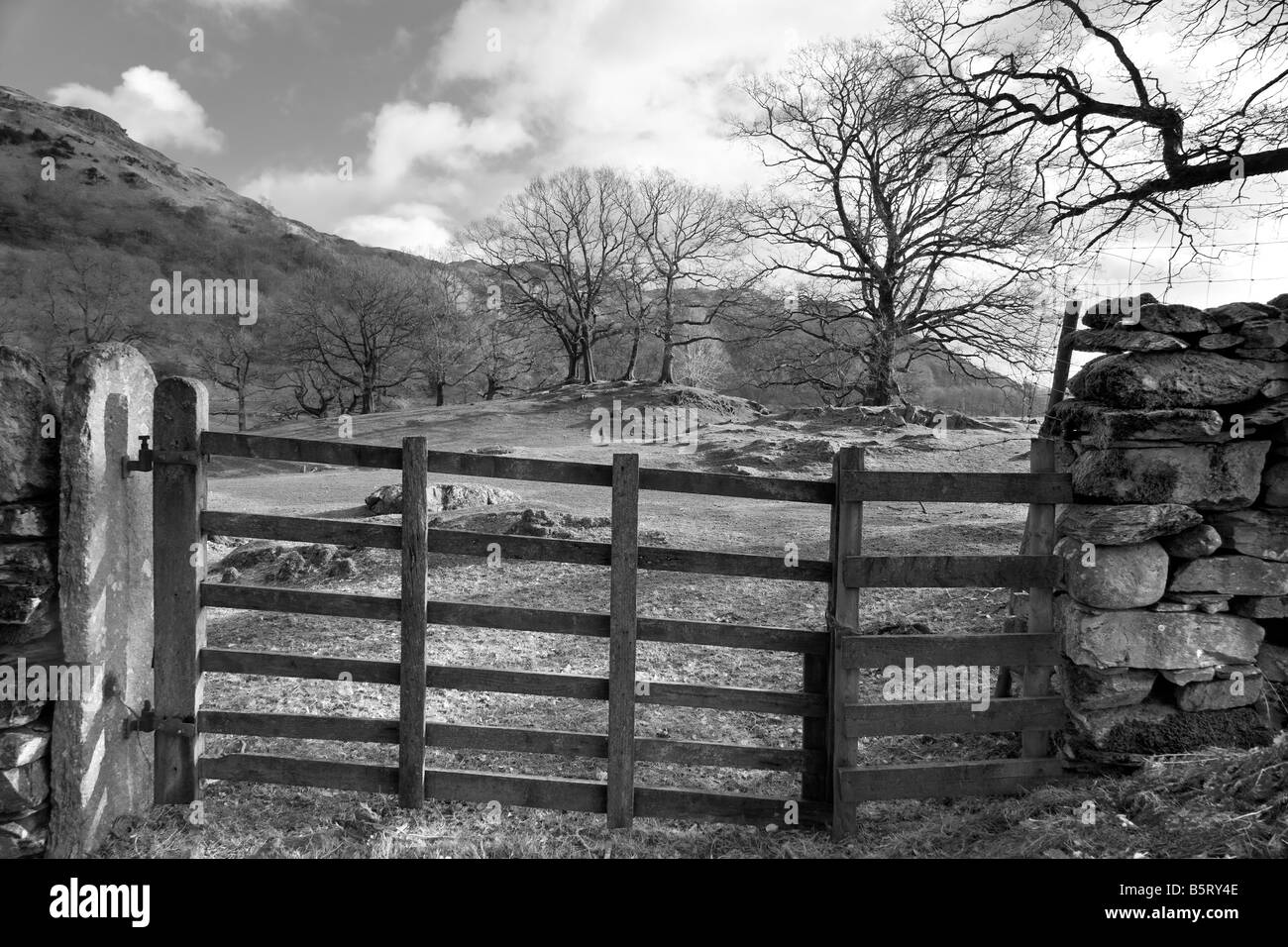Una vista attraverso Tarn Hows su un bel chiaro e nitido giornata invernale " Parco Nazionale del Distretto dei Laghi' Cumbria, Regno Unito Foto Stock