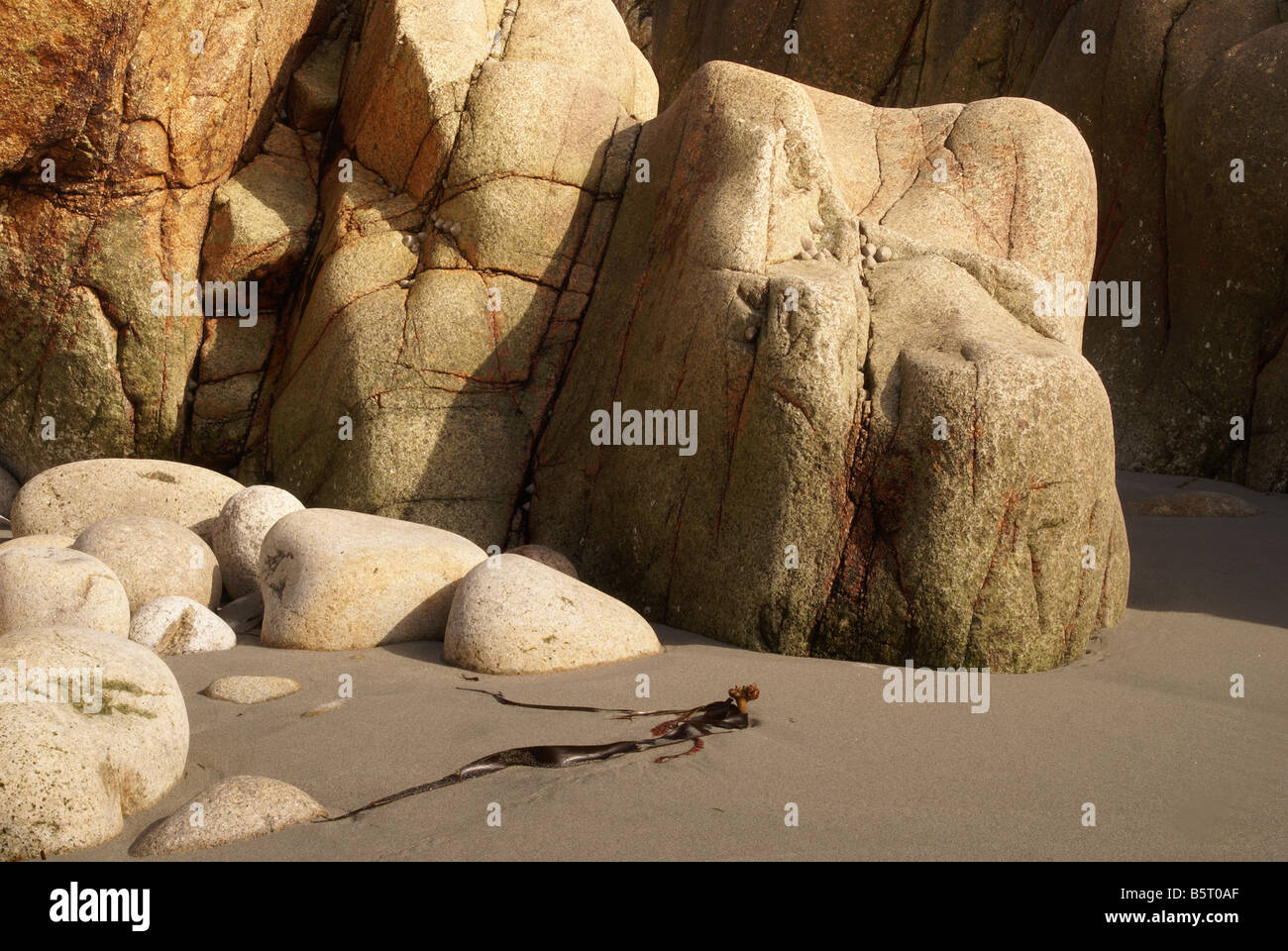 Porth nanven cove cornwall rocce di granito a bassa marea Foto Stock