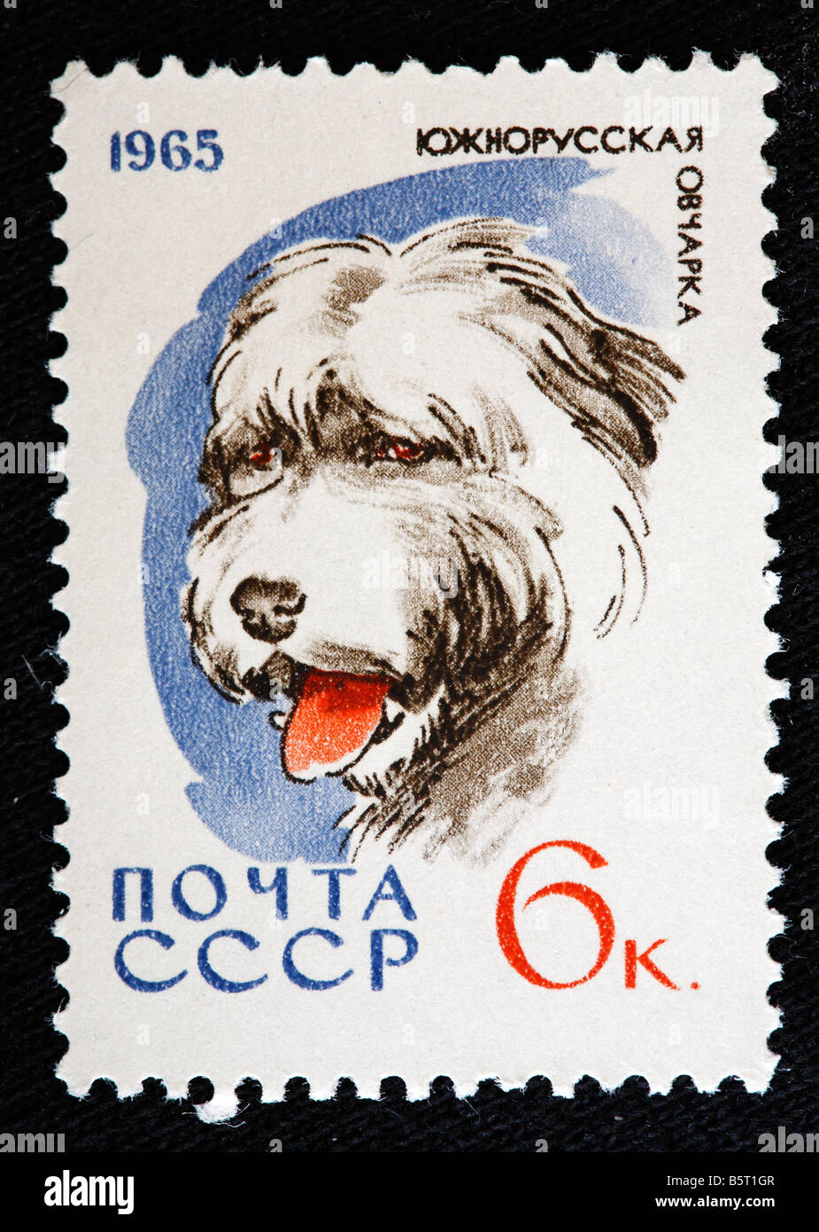 Sud sheepdog Russo, francobollo, URSS (Russia), 1965 Foto Stock