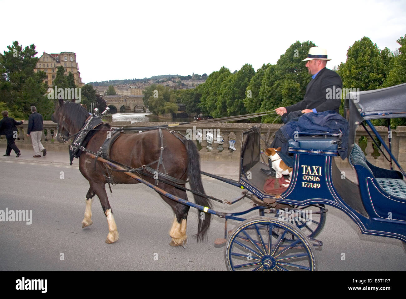 Carro trainato da cavalli taxi nella città di Bath Somerset Inghilterra Foto Stock