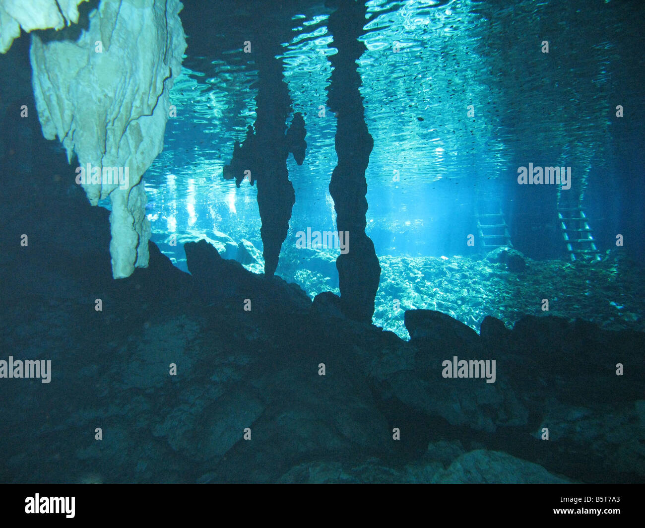 Cenote sistema di cave Foto Stock