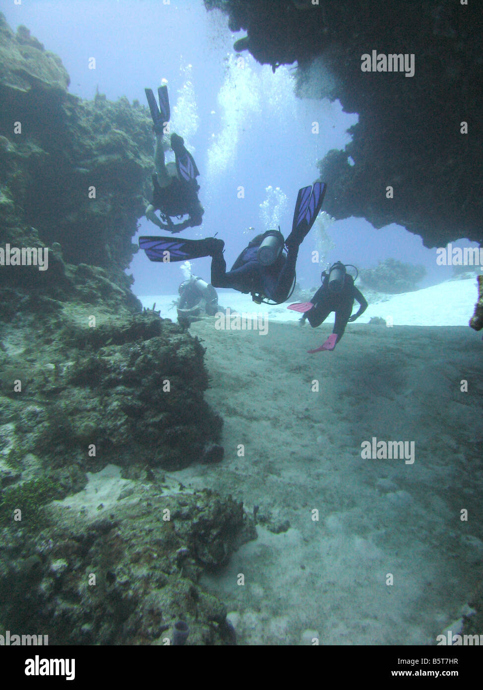 Un gruppo di sub in grotte Palancar messico Foto Stock