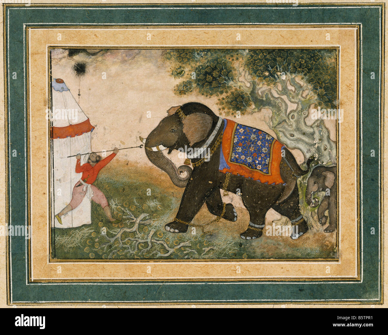 Un furioso elefante. Di Mughal 18x22.7 cms c. 1580 A.D. Museo Nazionale di Nuova Delhi India 52.43 Foto Stock