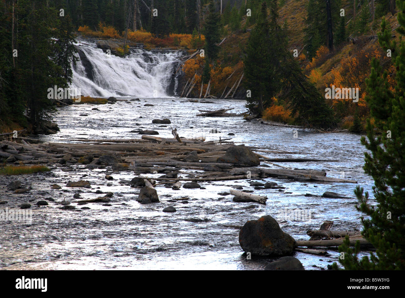 Lewis rientra in autunno, il Parco Nazionale di Yellowstone, Wyoming Foto Stock