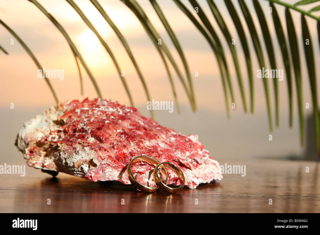 Gli anelli di nozze di fronte un guscio sotto le palme e il tramonto Foto Stock