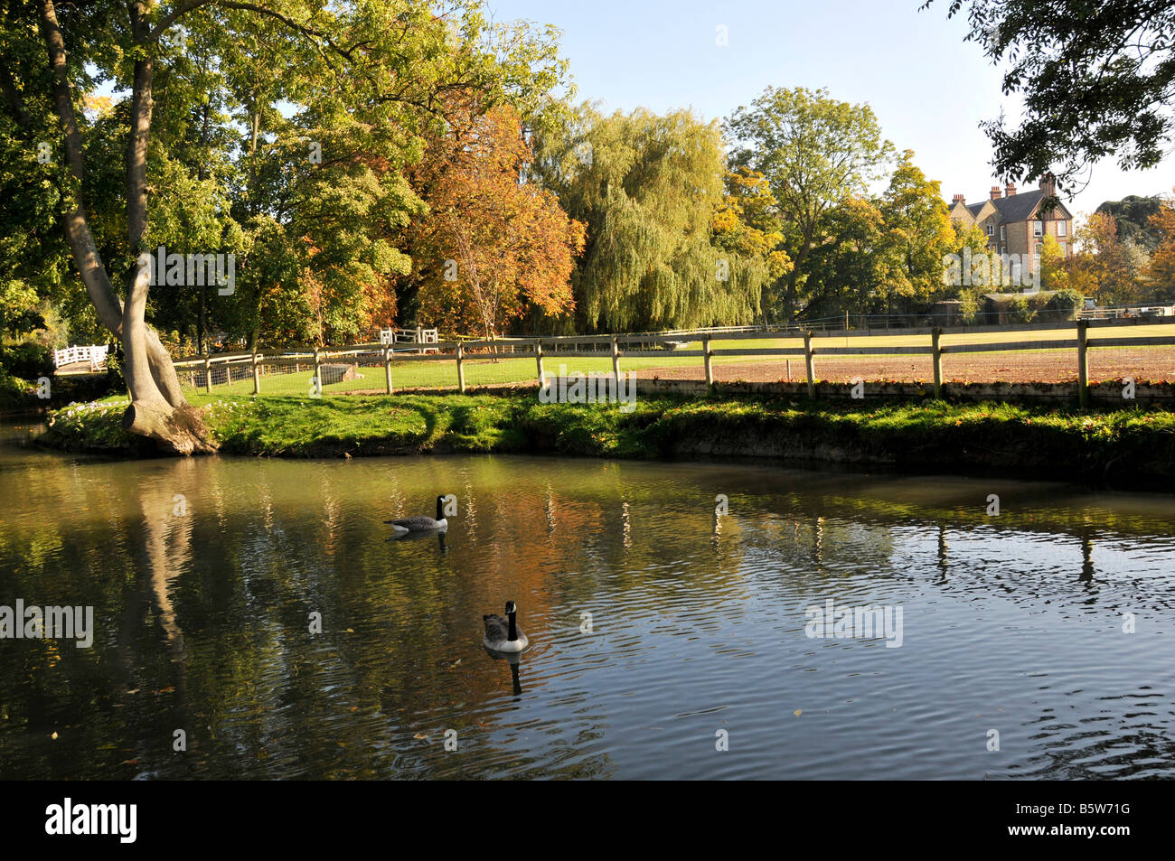 Fiume Thames , Oxford Foto Stock