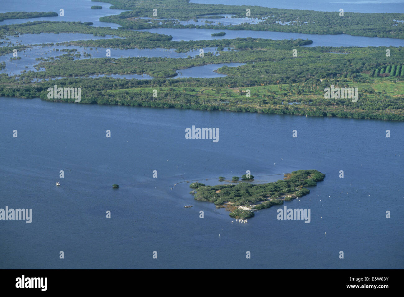 Pelican Island, antenna Foto Stock