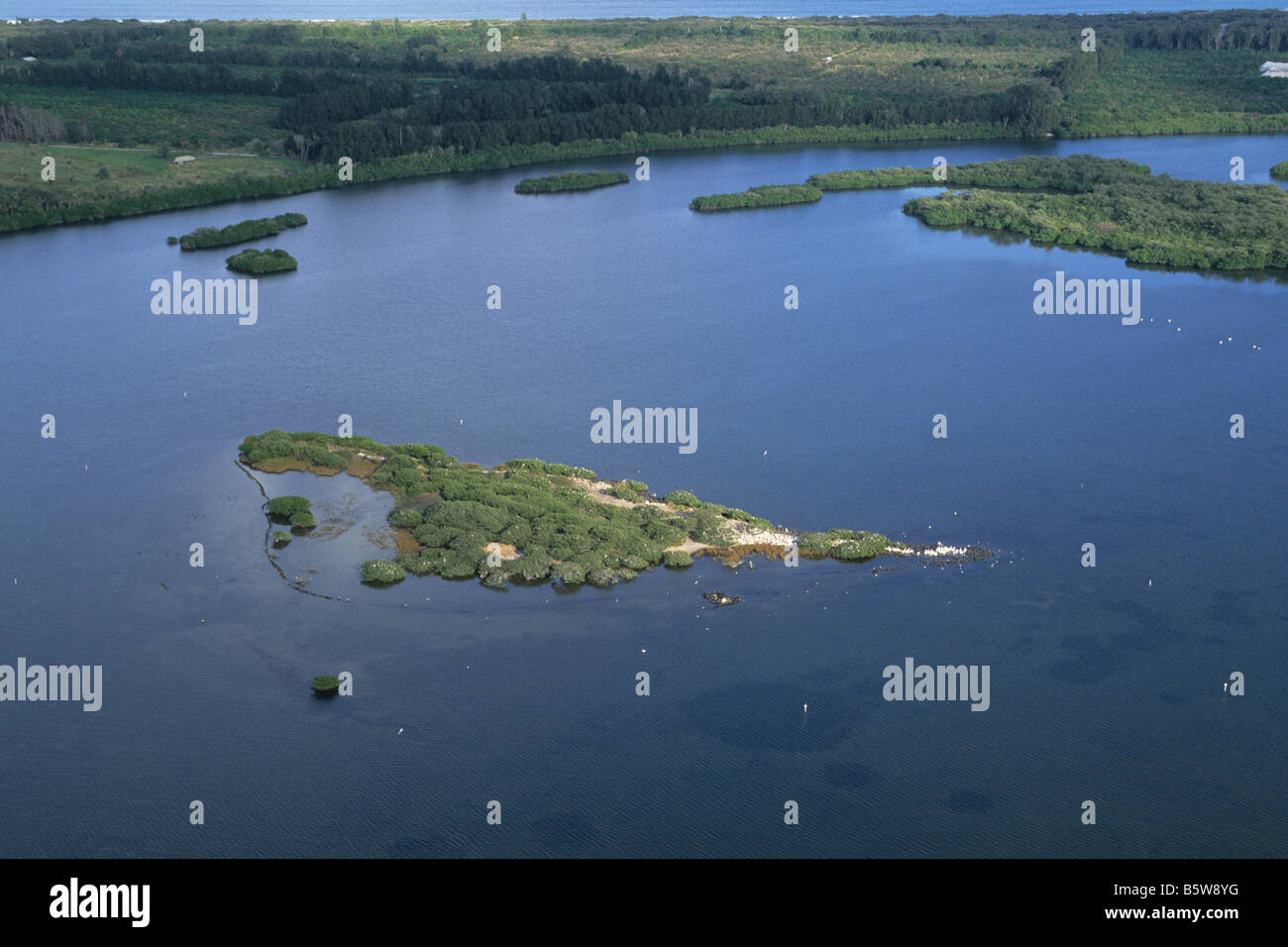 Pelican Island, antenna Foto Stock