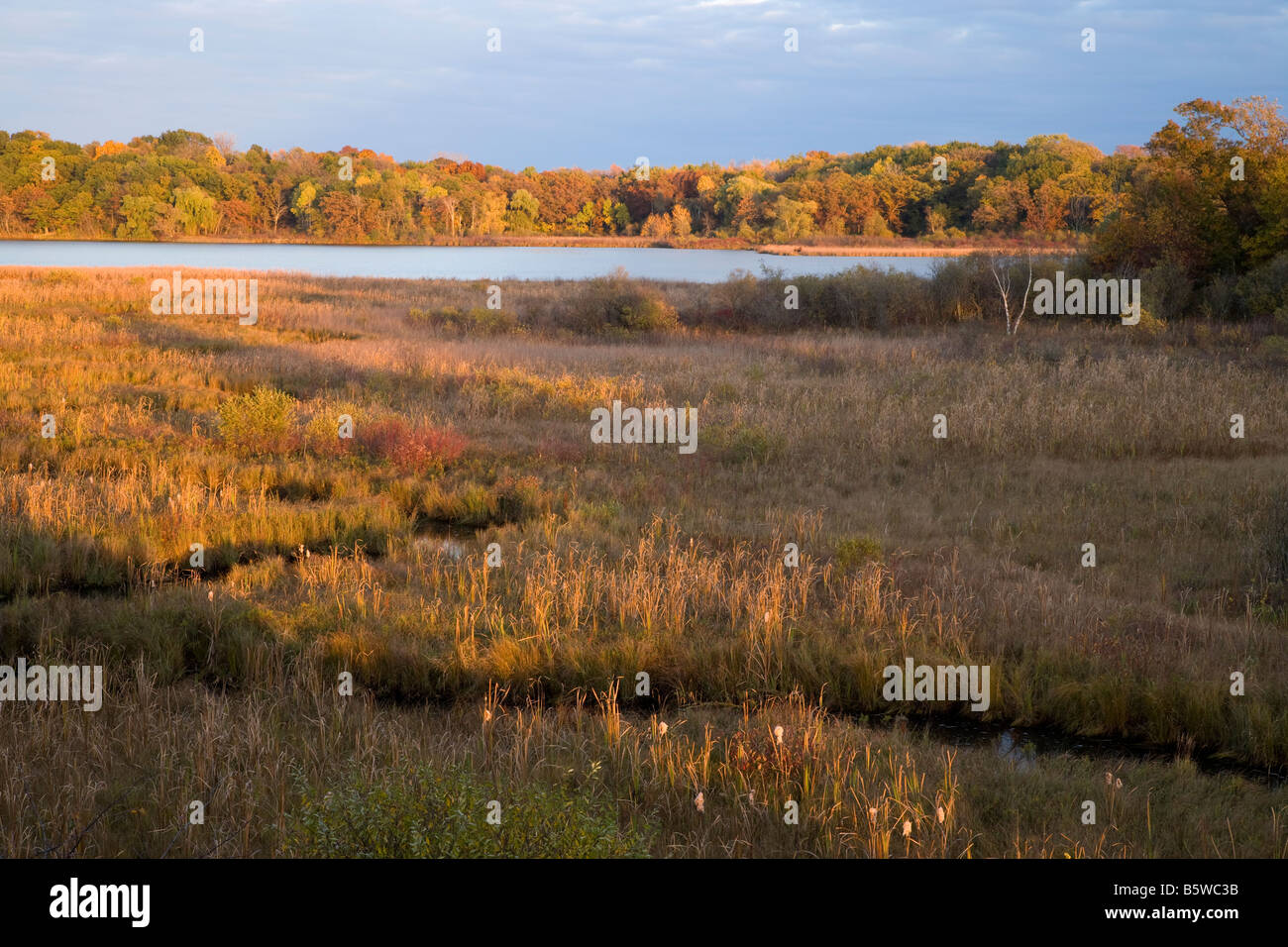 Lulu Lago, Lago di Lulu preservare (la Nature Conservancy), Wisconsin Foto Stock