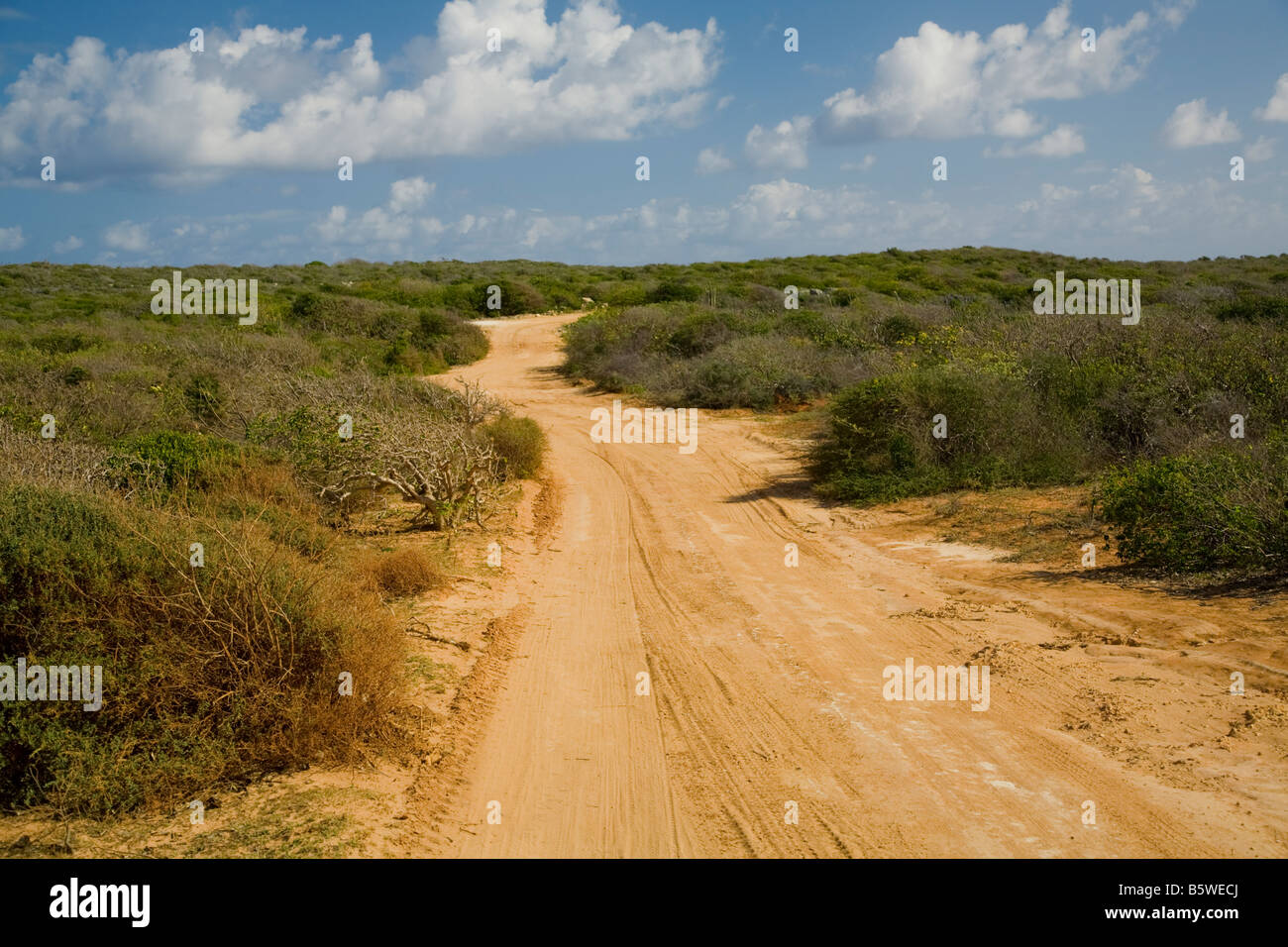 Strada sulla estremità est dell'isola caraibica di Anguilla nel British West Indies Foto Stock