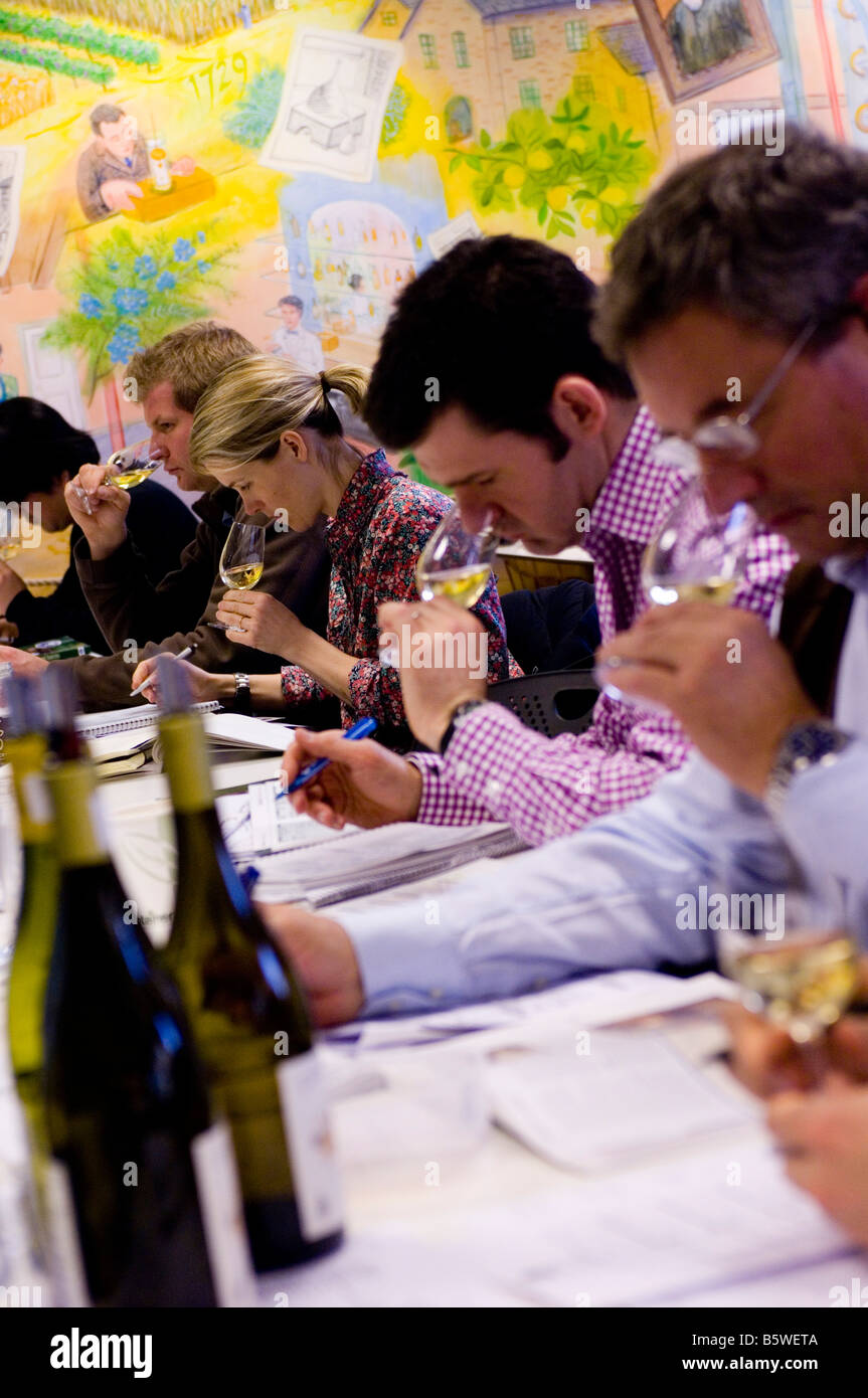 Allievo adulto sniffs vino sul corso avanzato sui vini in vini e liquori Educational Trust di Londra Foto Stock