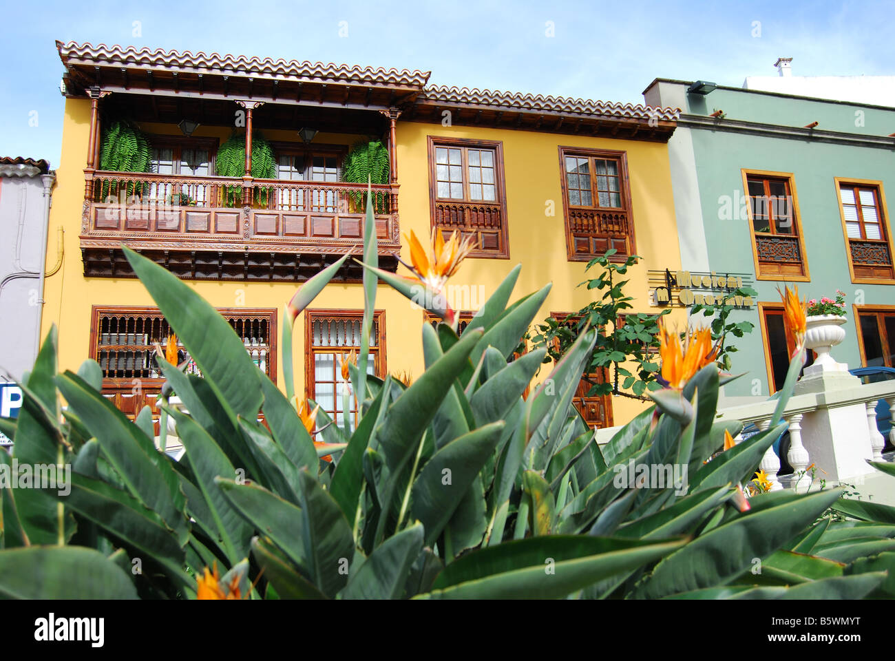 Uccello del Paradiso di fiori e balcone in legno, Plaza Del Ayuntamiento, La Orotava, Tenerife, Isole Canarie, Spagna Foto Stock