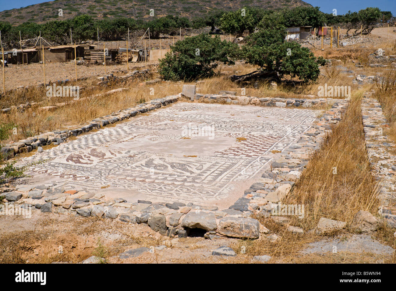 Mosaico bizantino tutto ciò che resta della basilica di Olous kolokitha penisola elounda Aghios Nikolaos Creta Grecia Foto Stock