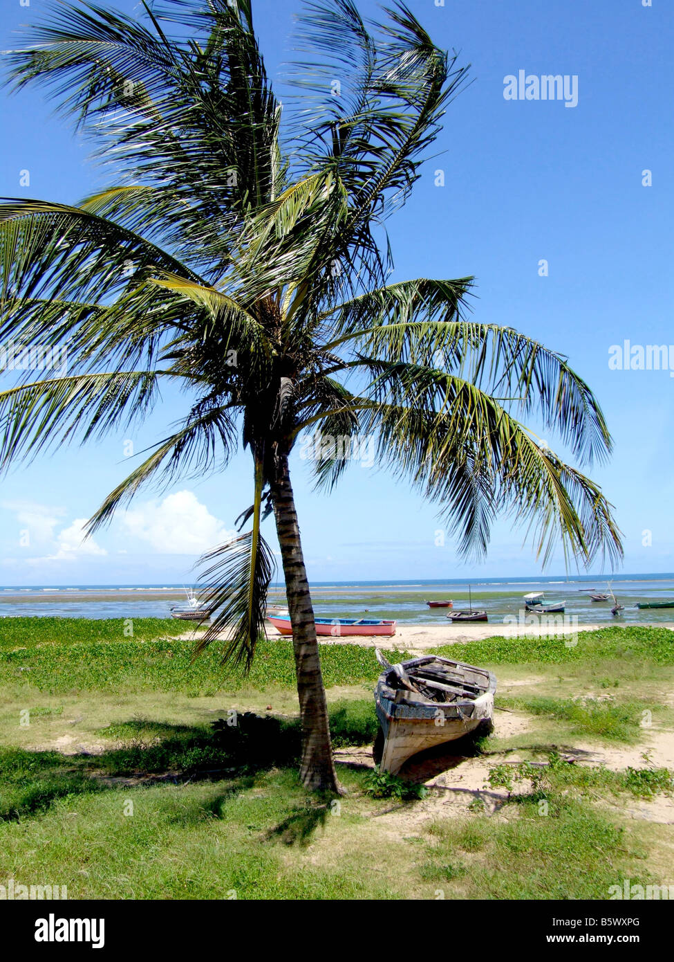 Spiaggia di Malindi Kenya Africa Foto Stock