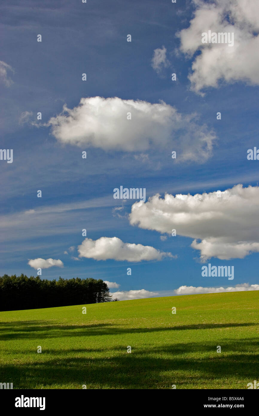 Luce della Sera su campo e boschi, Bredon hill, Worcestershire, England, Regno Unito Foto Stock