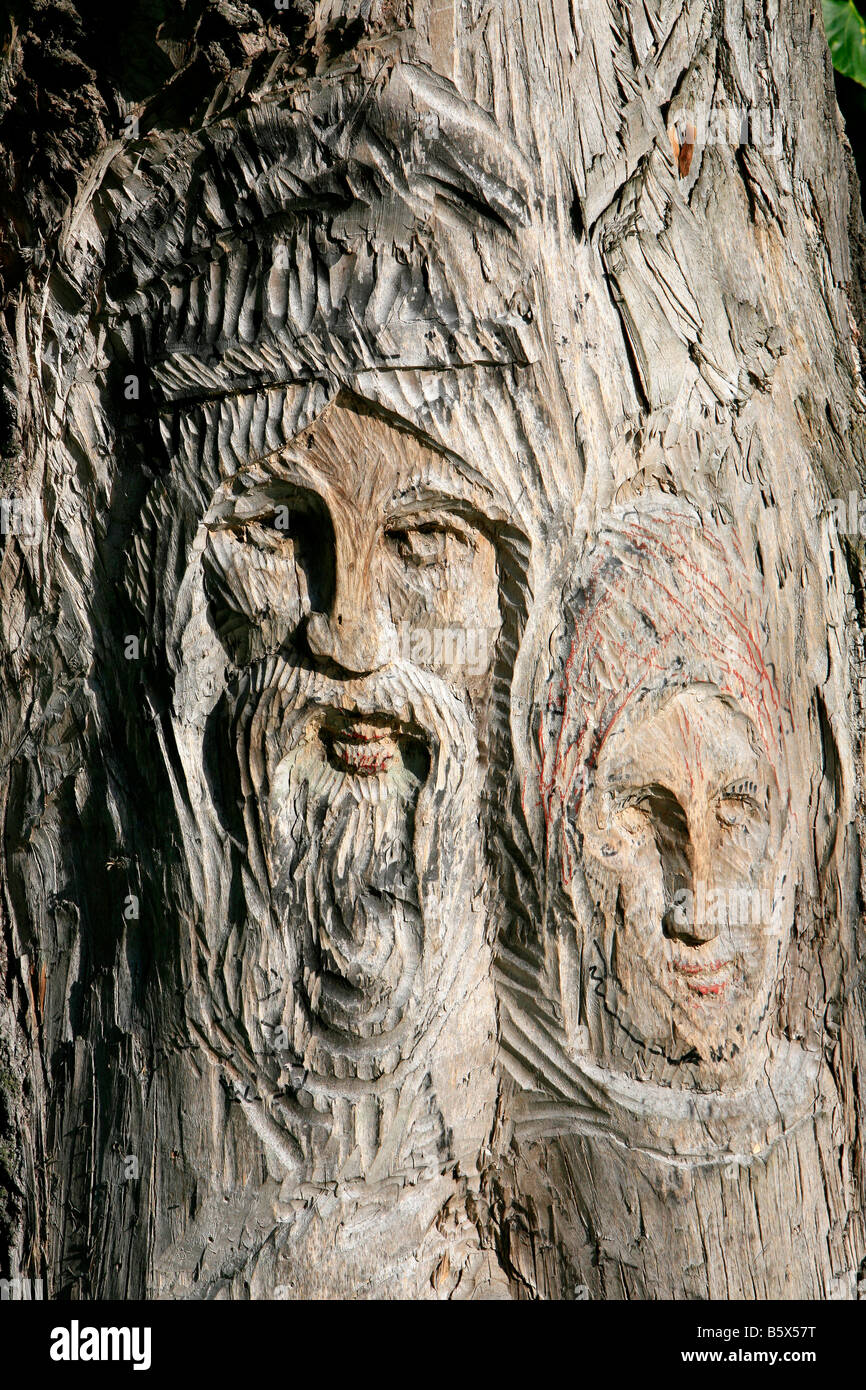 Albero scolpito nei giardini del Carskoe Selo Palace (il Palazzo di Caterina) in Pushkin (San Pietroburgo, Russia Foto Stock