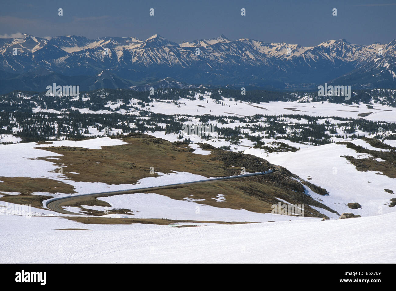 Gamma Absaroka montagne e Autostrada 212 oltre Beartooth passano vicino al Red Lodge Montana USA Foto Stock