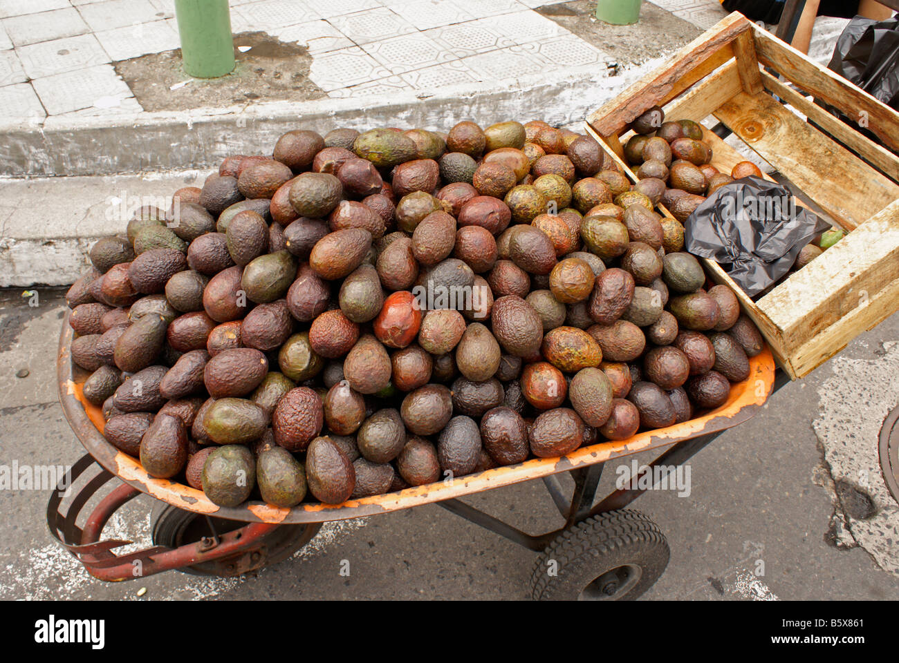 Carriola piena di avocado nel centro cittadino di San Salvador El Salvador Foto Stock