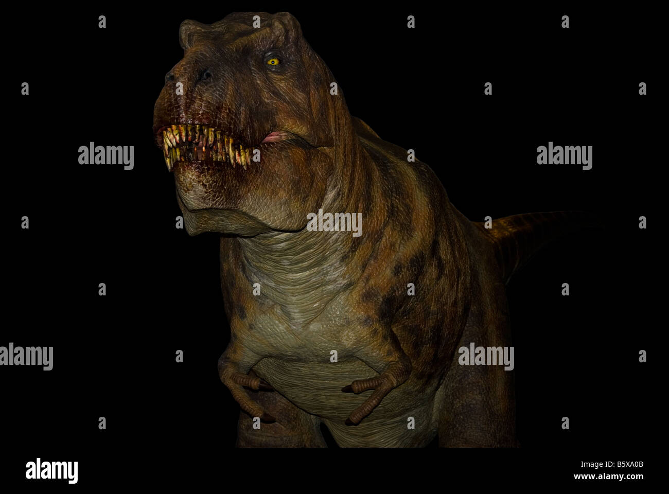Tyrannosaurus rex (T Rex) dinosauro su sfondo nero Foto Stock