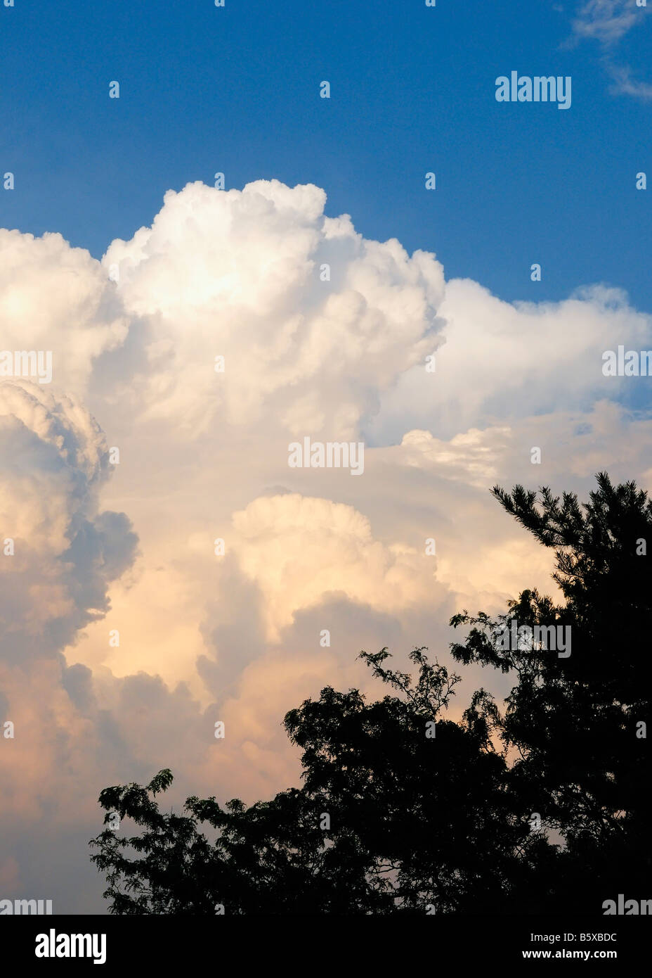 Nel tardo pomeriggio nuvole temporalesche costruire su Northern Illinois, Stati Uniti d'America Foto Stock