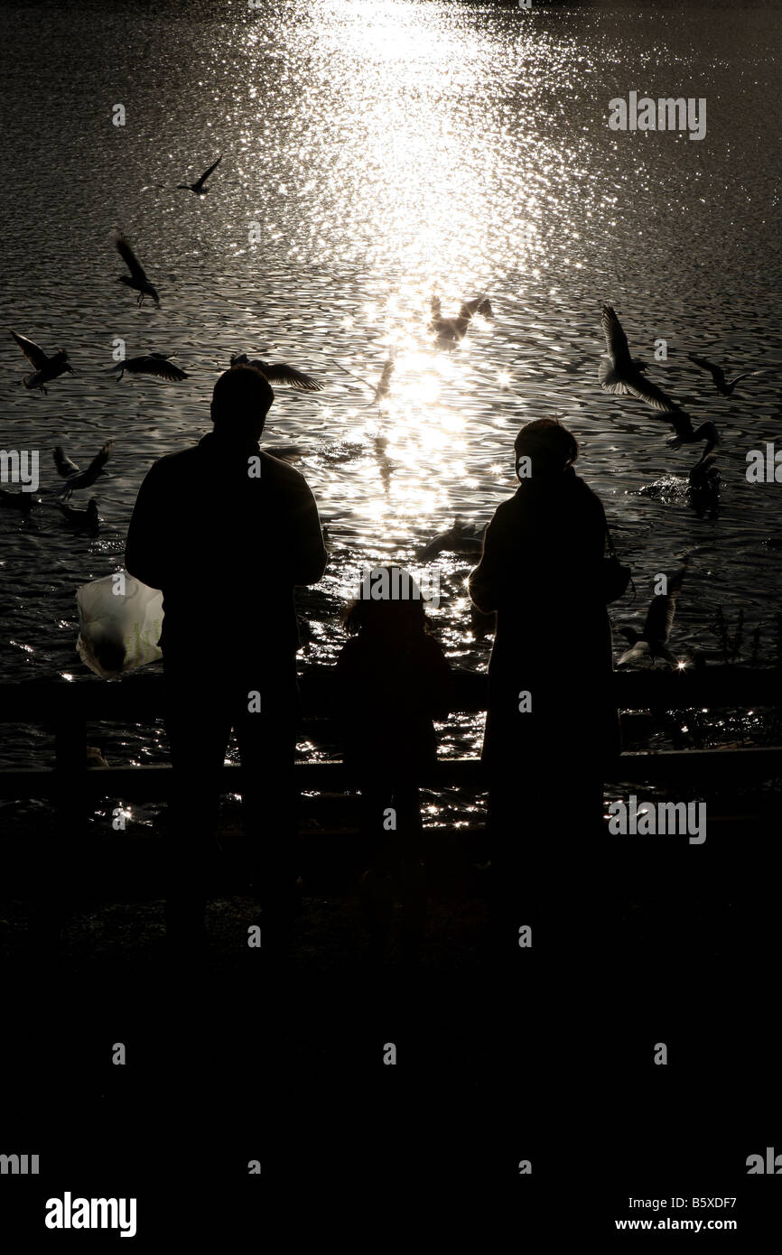 Silhouette di una famiglia alimentazione di uccelli a chorlton water park, Manchester. Foto Stock