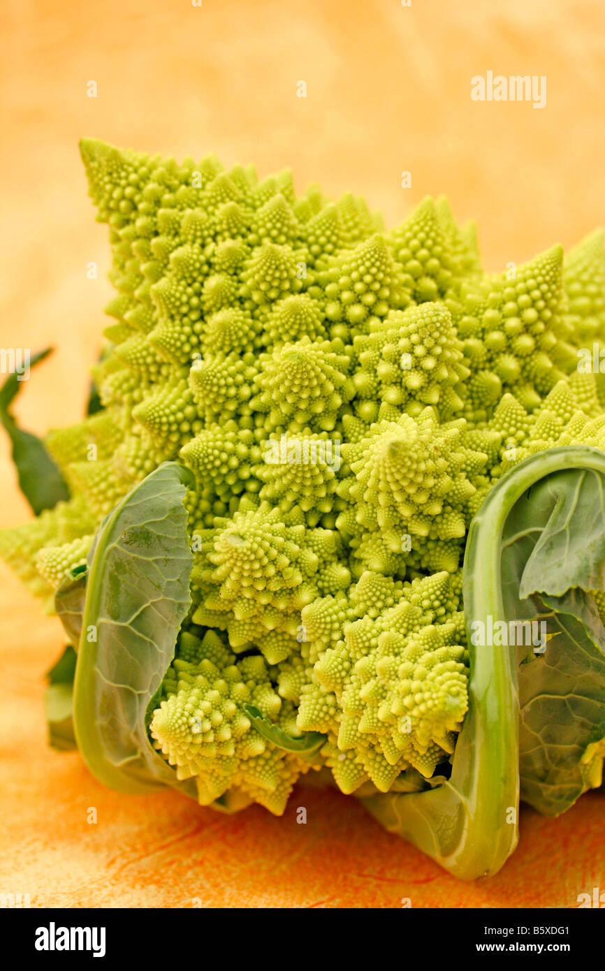 Romanesco broccoli Foto Stock