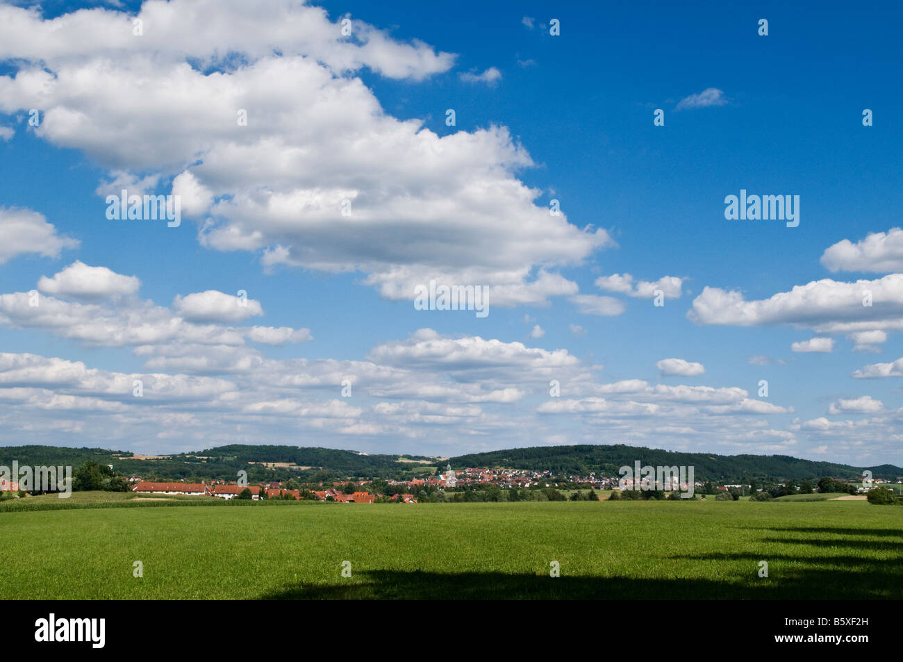 Estate verde campo di fattoria con la città di Auerbach in background, Oberpfalz, Baviera, Germania Foto Stock