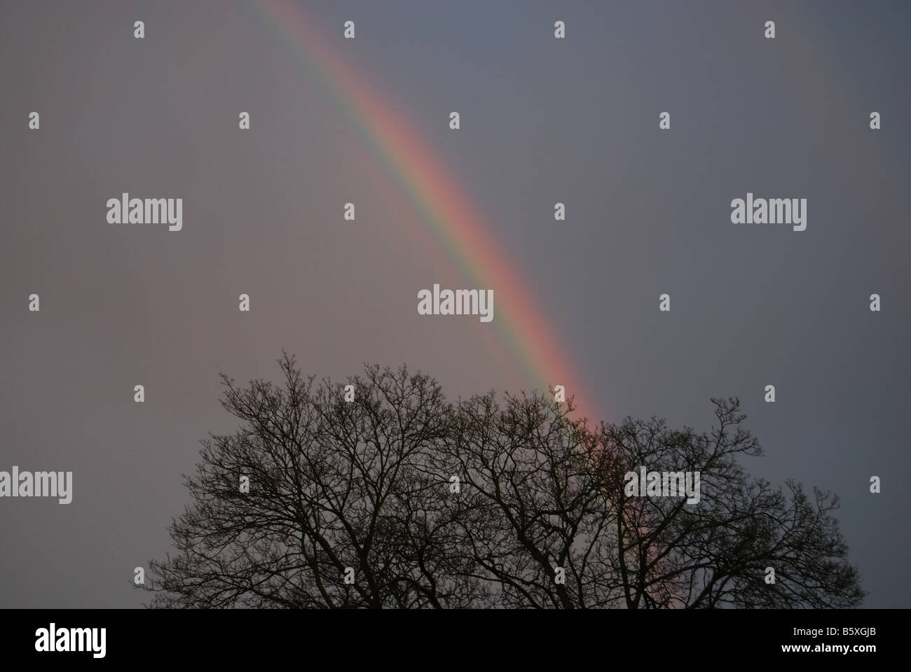 Arcobaleno nel cielo in tempesta Foto Stock