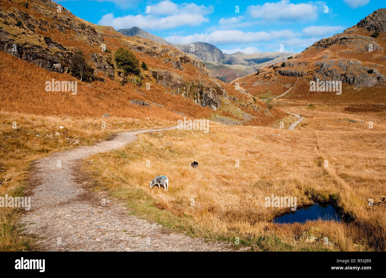 Via montagna vicino Blea Tarn con The Langdale Pikes in distanza Foto Stock