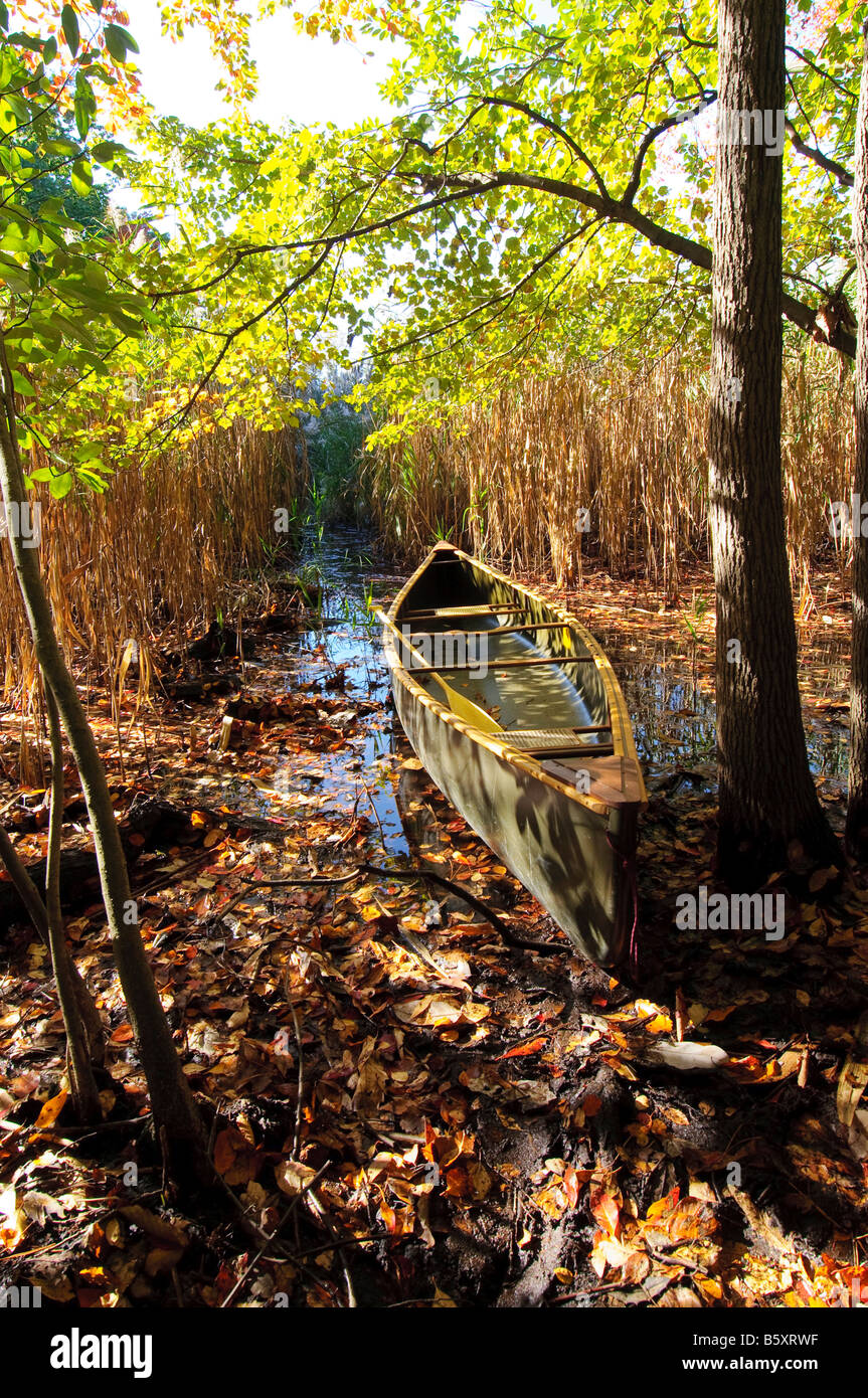 Canoa sul litorale di un affluente della Chesapeake Bay. Foto Stock