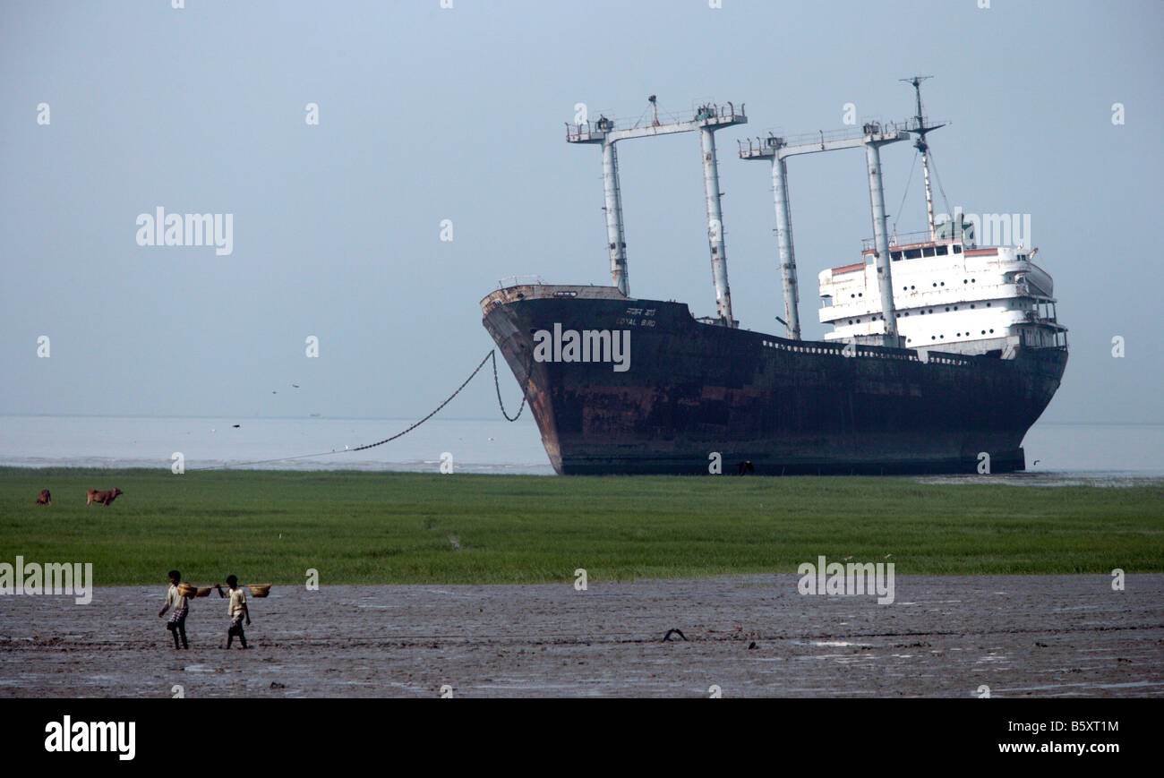 Gli uomini di raccogliere i frutti di mare in uno dei la più grande nave cantieri di rottura nel mondo, Chittagong, Bangladesh. Foto Stock