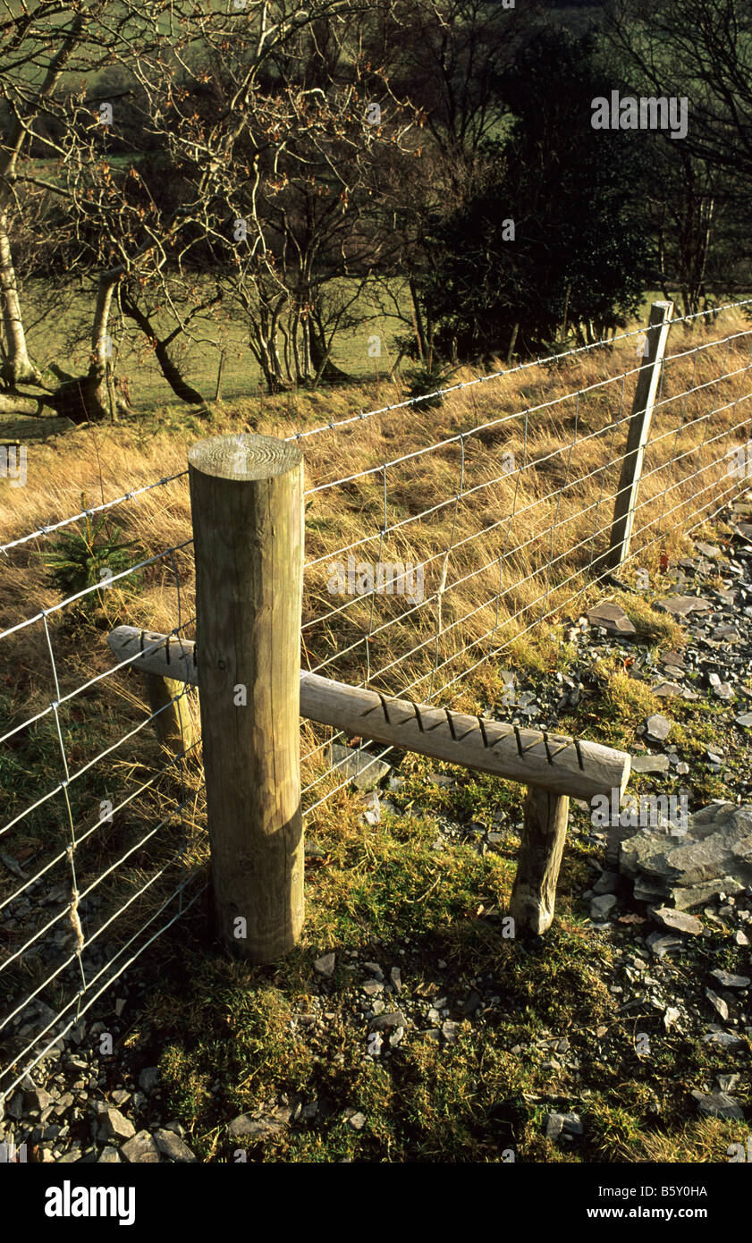 Il camminatore di stile in recinto di filo - Powys, Wales UK. Foto Stock