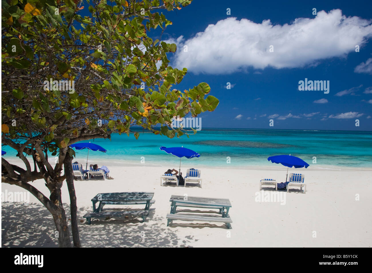 Sedie e umbellas su Shoal Bay East Beach sull'isola caraibica di Anguilla nel British West Indies Foto Stock