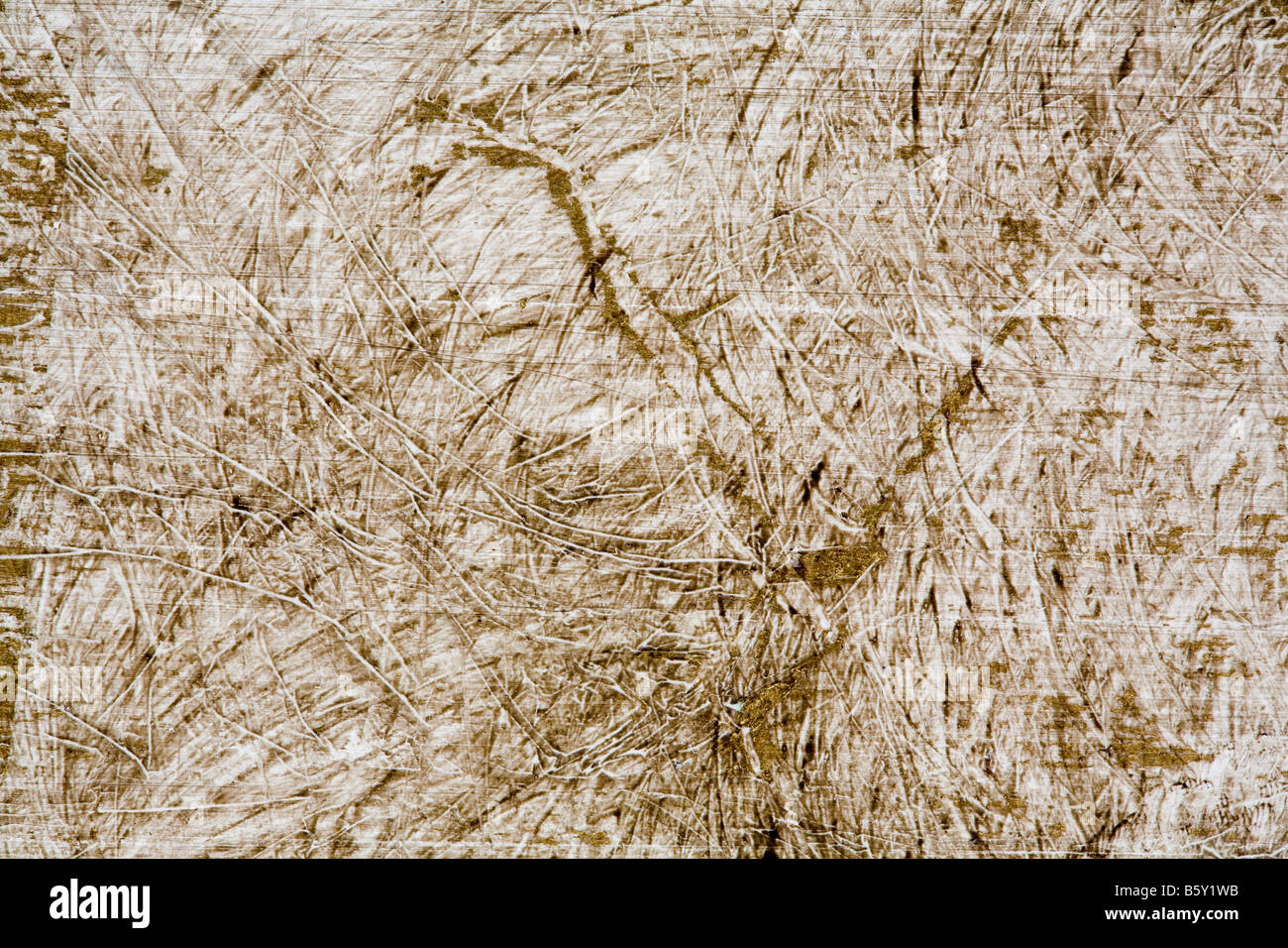 Texture in legno marrone chiaro colore principale Foto Stock
