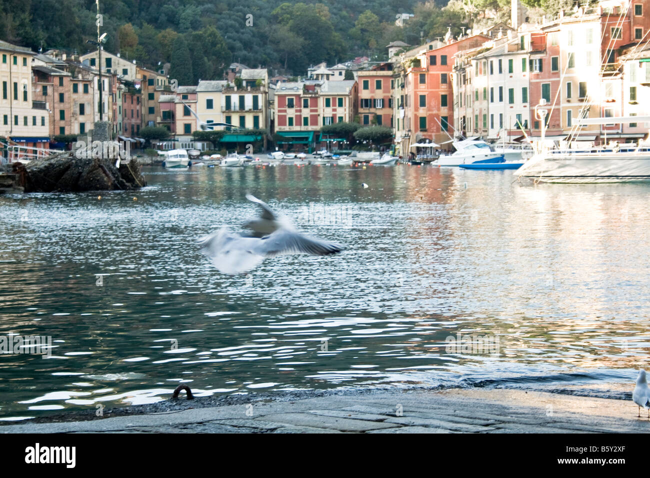 Riflessi di Portofino Foto Stock