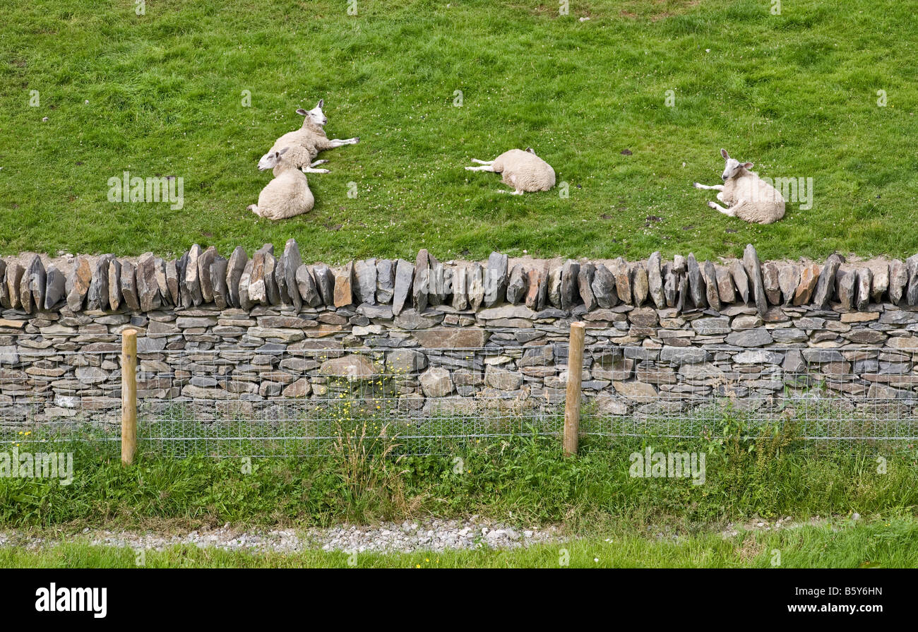 Stalattite muratura accanto alla A590 a doppia carreggiata in Cumbria Foto Stock