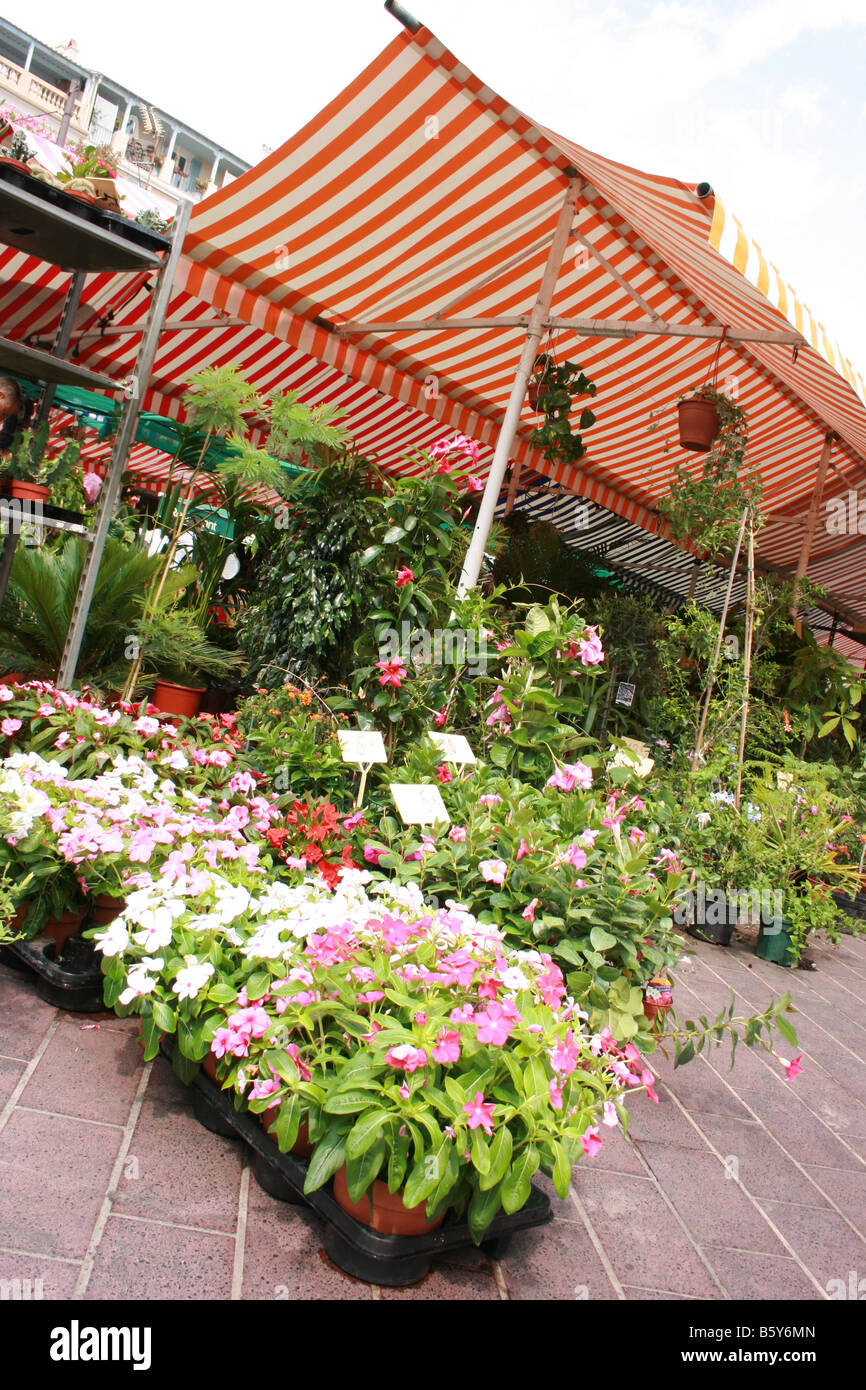 Il mercato dei fiori 'Marché aux Fleurs' a Nizza, Francia Foto Stock