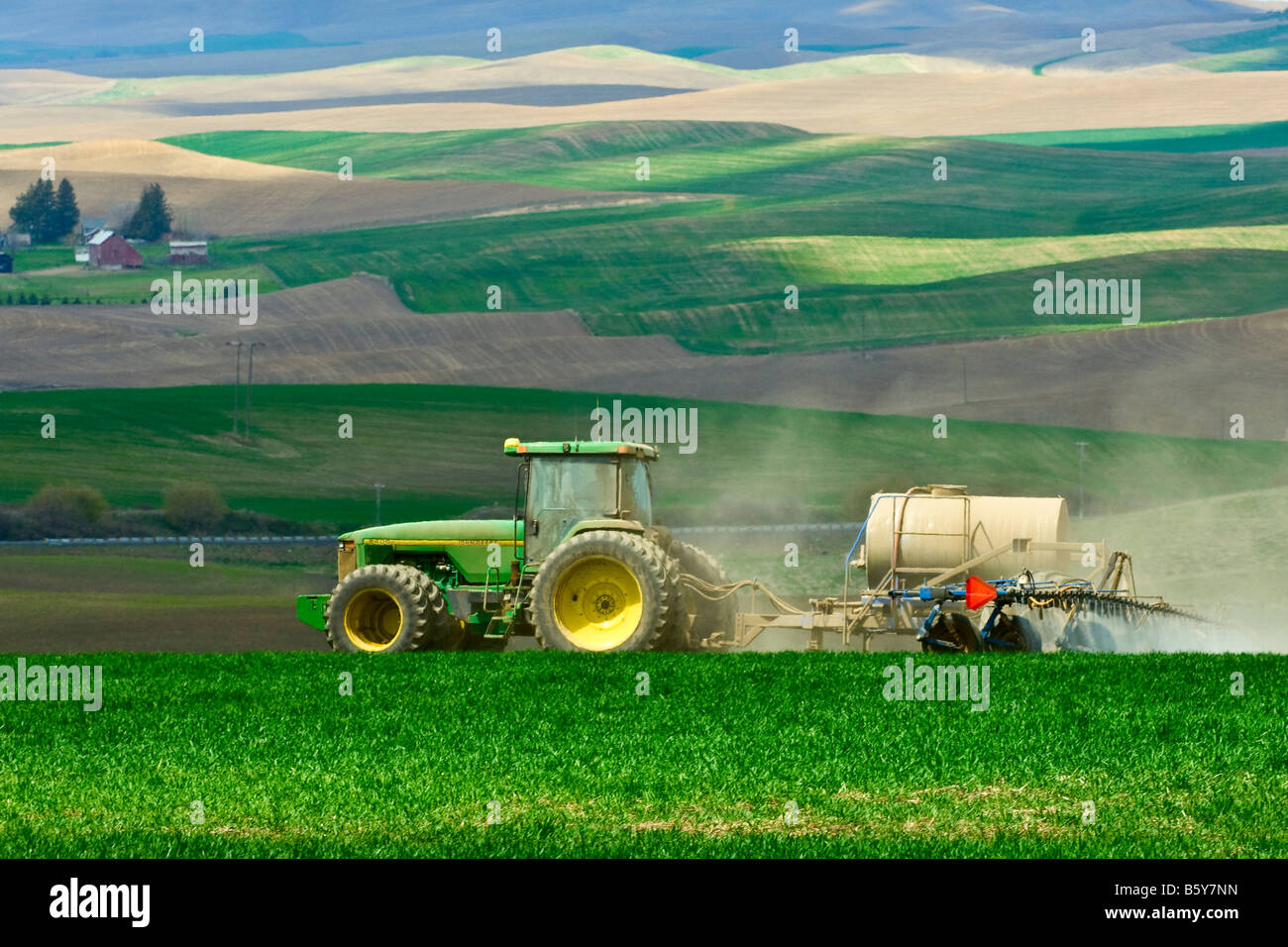 La spruzzatura di frumento invernale per il controllo delle erbe infestanti in la regione Palouse di Washington Foto Stock