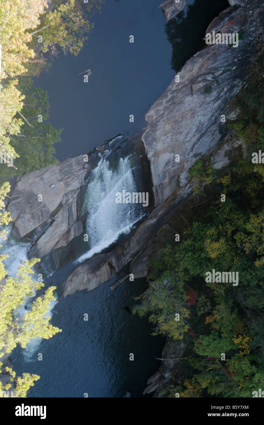 Creek e ripide pareti del canyon con rocce e alberi Foto Stock