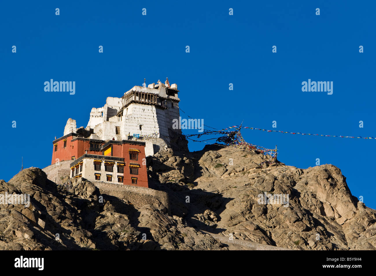Namgyal Tsemo Gompa leh ladakh Foto Stock