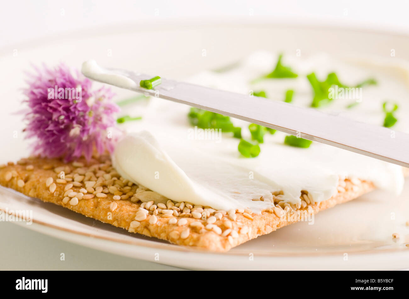 Pane con formaggio Foto Stock