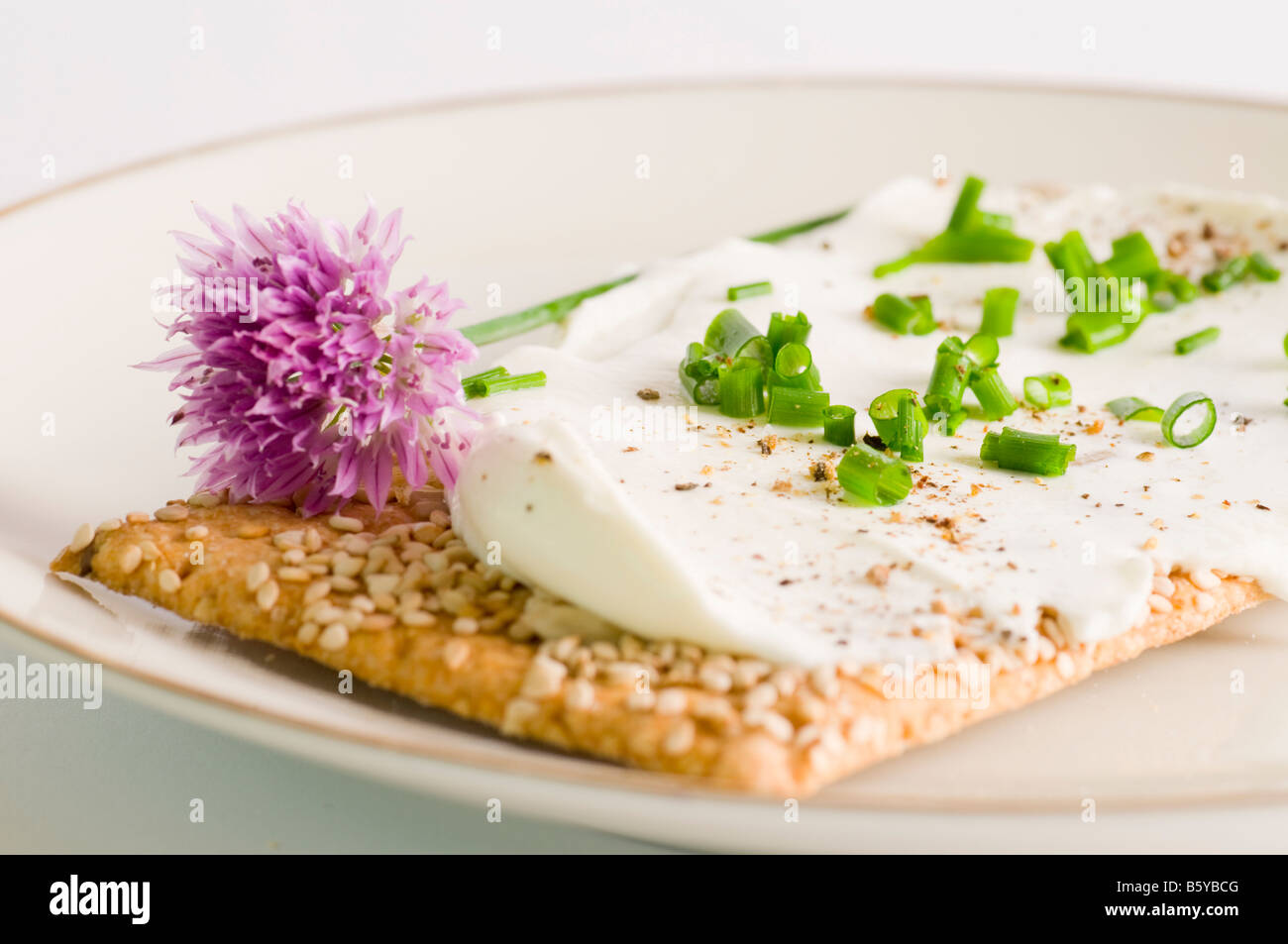 Pane con formaggio Foto Stock