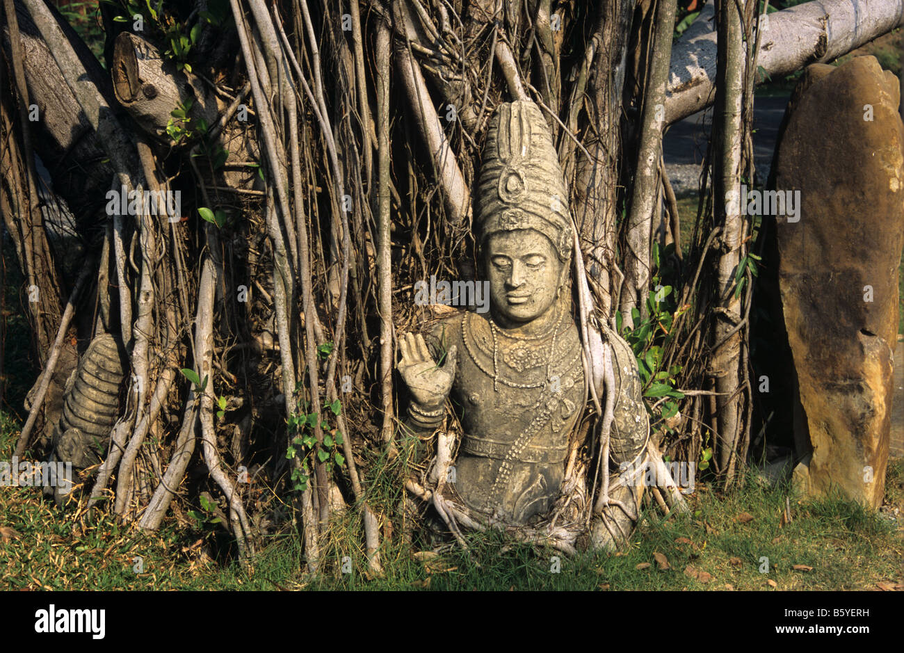 Divinità indù, Shiva, un c13-14th statua e banyan tree da Nakhon Si Thammarat, nel sud della Thailandia. Ora in città antica, Bangkok Foto Stock