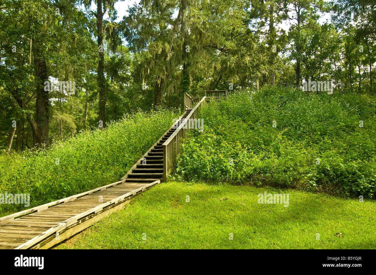 Il lago Jackson archeologico Mounds State Park Tallahassee Florida terra indiana tempio tumuli di scale in legno boardwalk Foto Stock