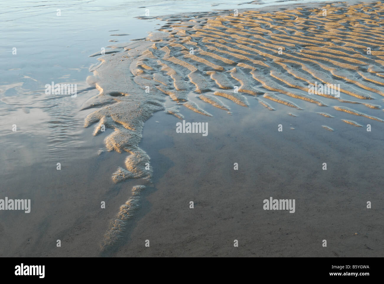 Un punto di rilievo distese di sabbia in acque poco profonde del Lago Huron cantando Sands Bruce Peninsula Ontario. Foto Stock