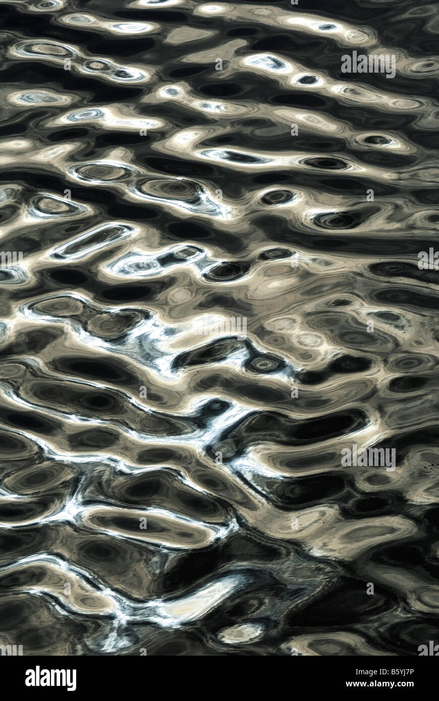 Riflessioni sul Lago di Paola Foto Stock