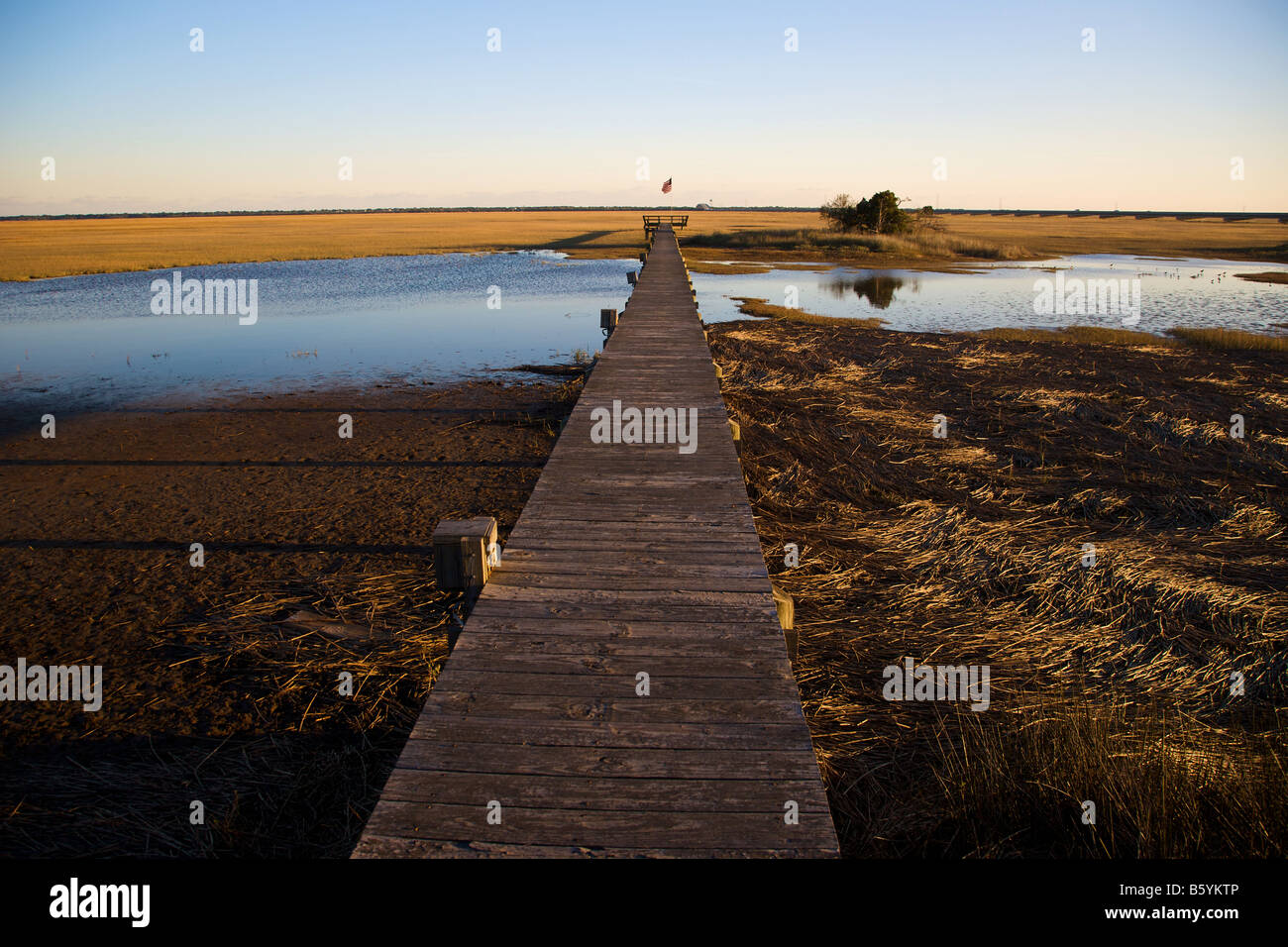 Un dock in una palude di acqua salata lungo la costa del Sud Carolina vicino a Charleston Foto Stock
