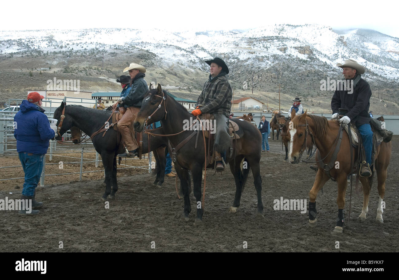 A Cody, Wyoming, i cavalli da vendere più tardi quel giorno attendono un'anteprima nell'arena Buffalo Bill Stampede di Cody, Stati Uniti Foto Stock