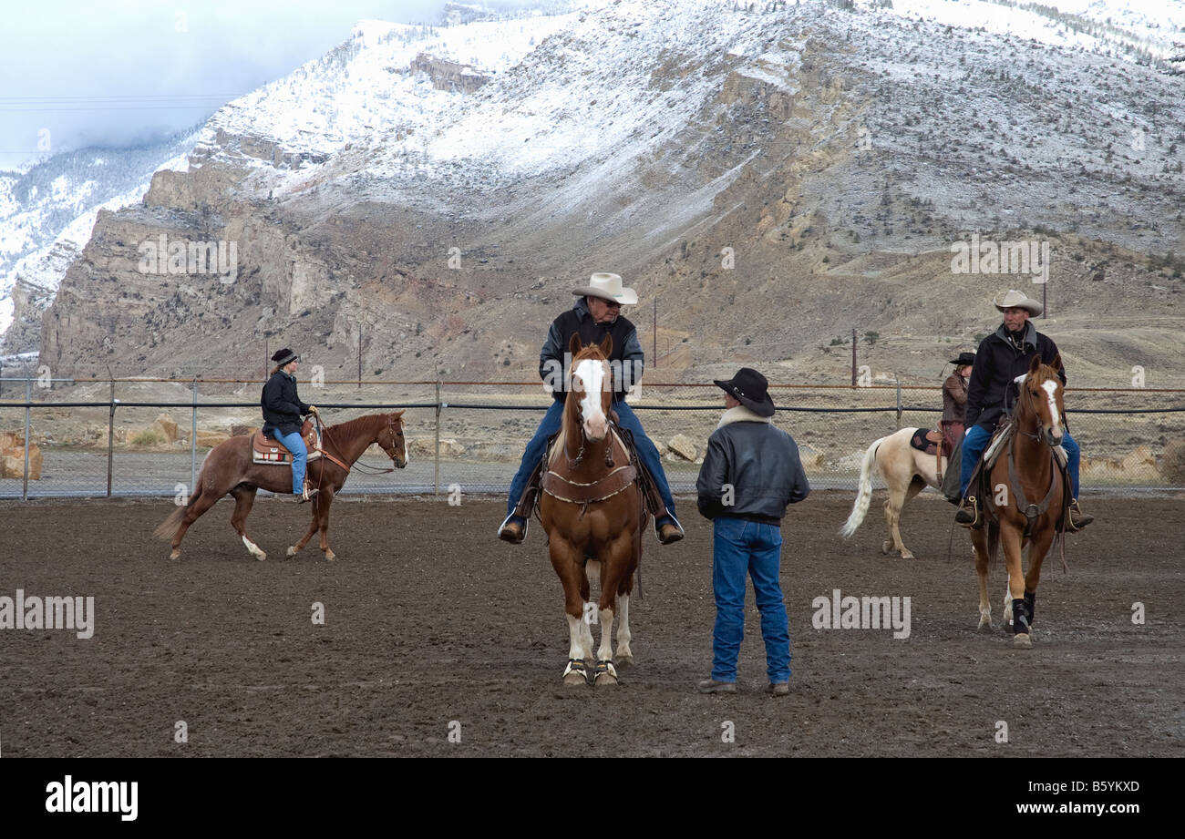 In Cody, Wyoming i cavalli per essere venduti dopo quel giorno attendono una anteprima in Cody's Buffalo Bill Stampede arena Foto Stock